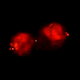 Illustration for article titled Theres Something Very Ominous Going On Near This Supermassive Black Hole